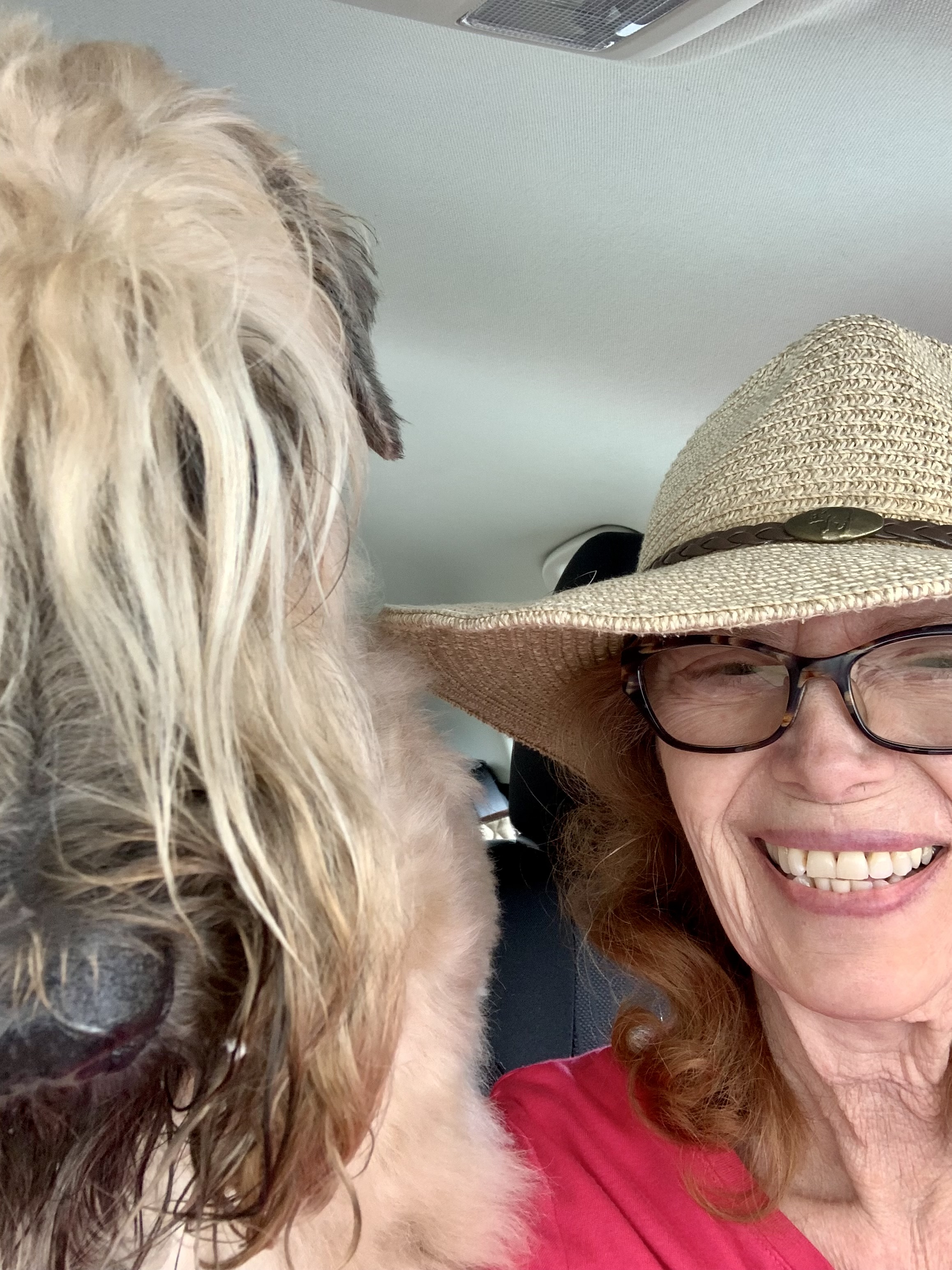 Bow Wows & Whiskers Pet Care Co®