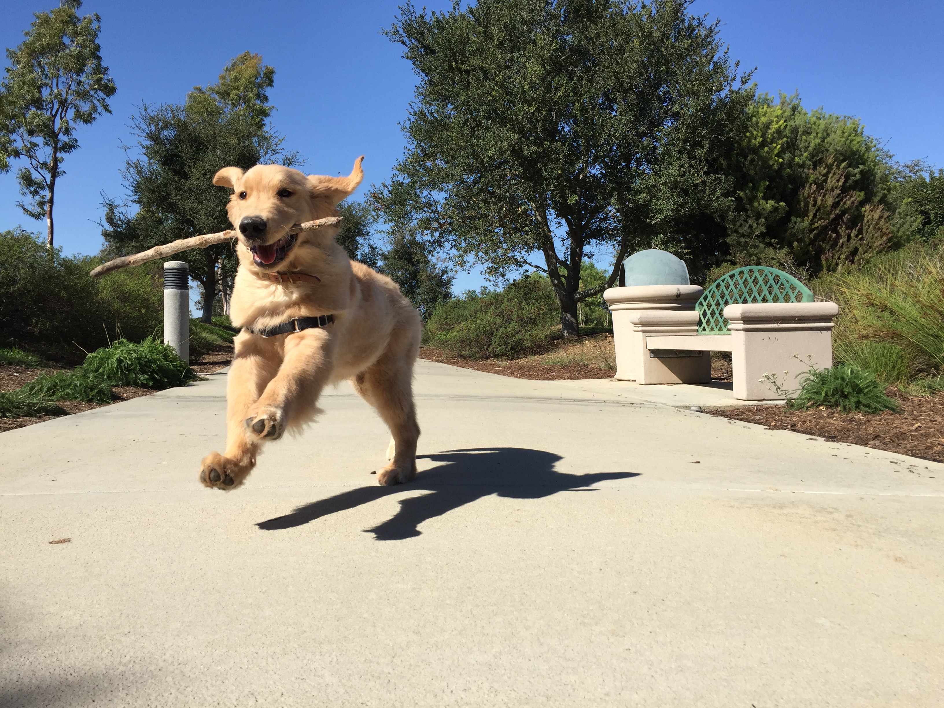  14