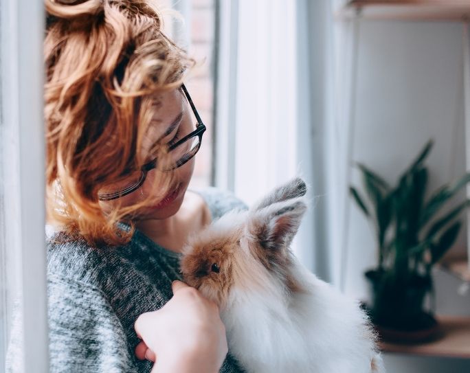 Rabbit care for pet sitters