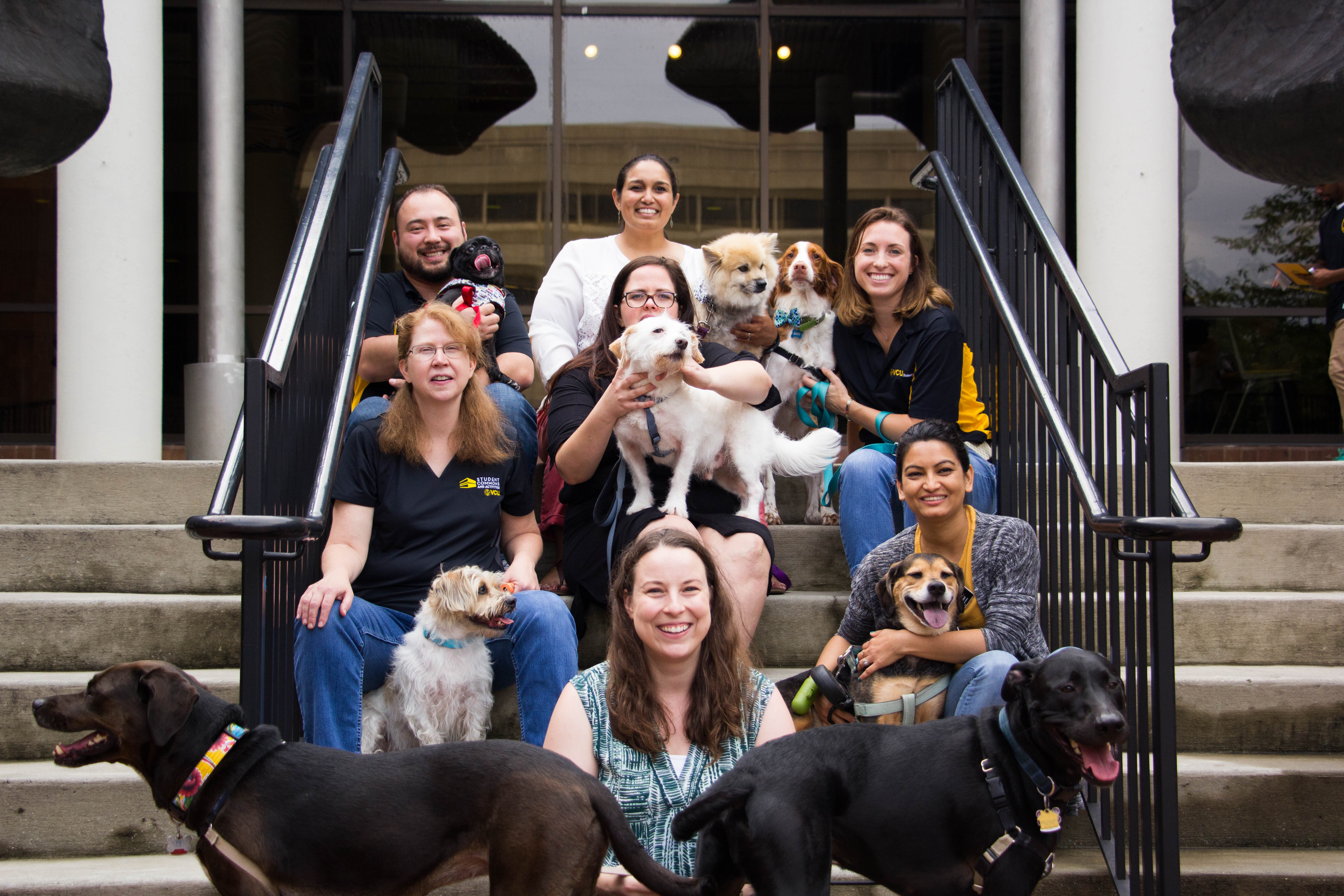Take Your Dog To Work Day® celebrates 20 years of dogs at work for a cause
