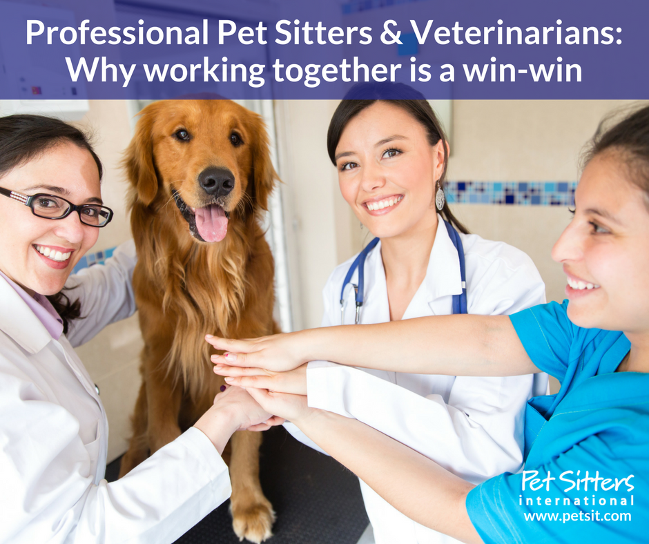 Professional Pet Sitters & Veterinarians: Why working together is a win-win