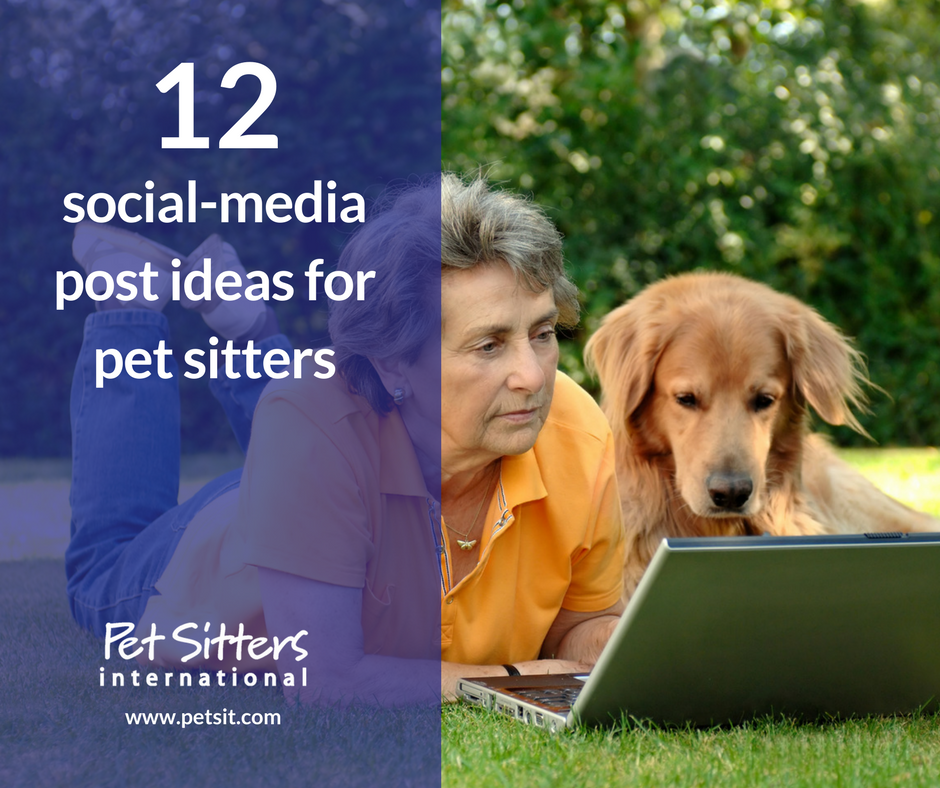 12 social-media post ideas for pet sitters