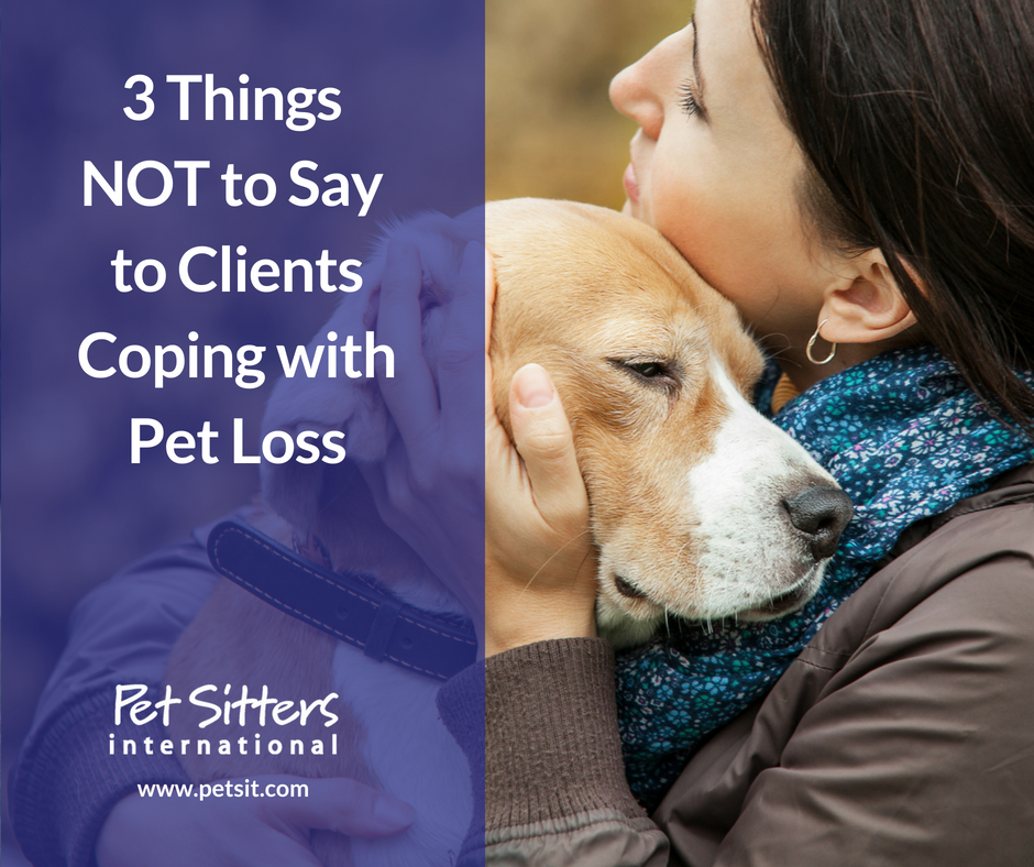 3 things NOT to say to clients coping with pet loss