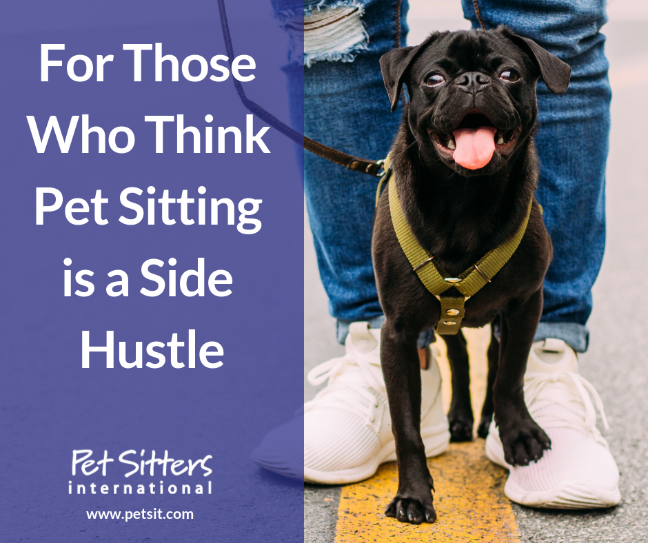 To Those Who Think Pet Sitting is a Side Hustle