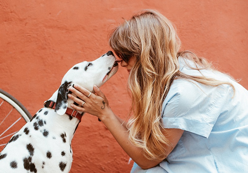 An Open Letter to Pet Owners During the COVID-19 Crisis