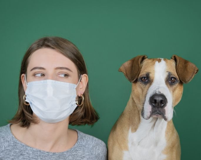 Coronavirus: What Pet Sitters Should Consider