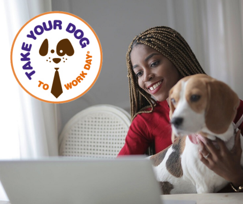 22nd annual Take Your Dog To Work Day® to take place—virtually—on Friday, June 26