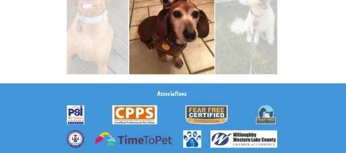 Listing credentials in footer of pet sitter website
