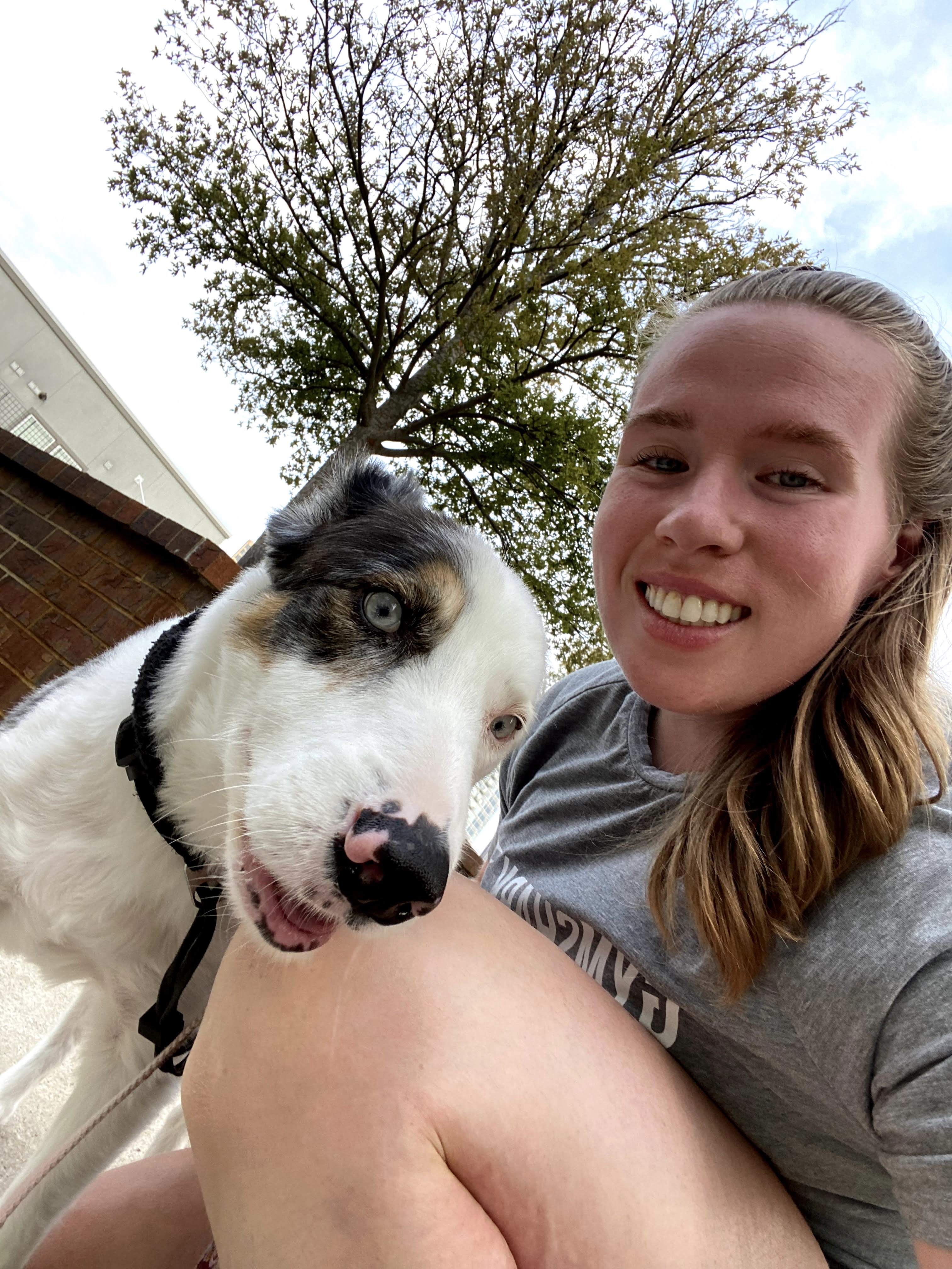 Top Paws Pet Care