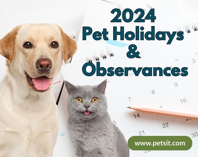 2024 pet holidays 2024 pet holidays image with a calendar, dog and cat