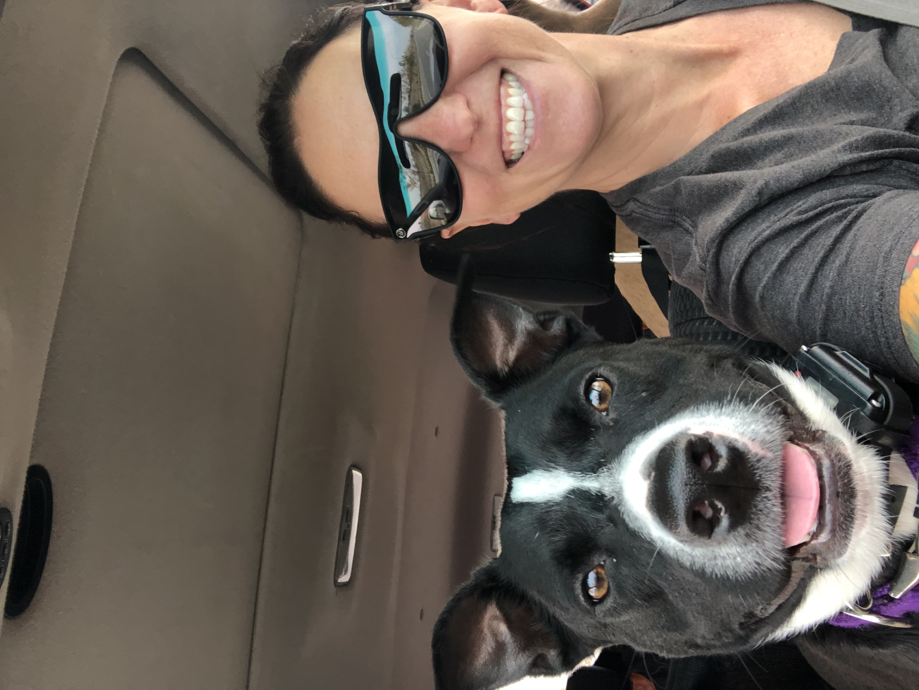 Jillian's Pet Care
