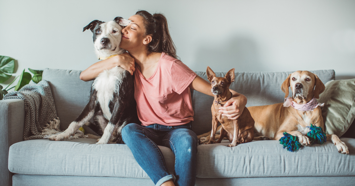 Is Pet Sitting a Real Career?
