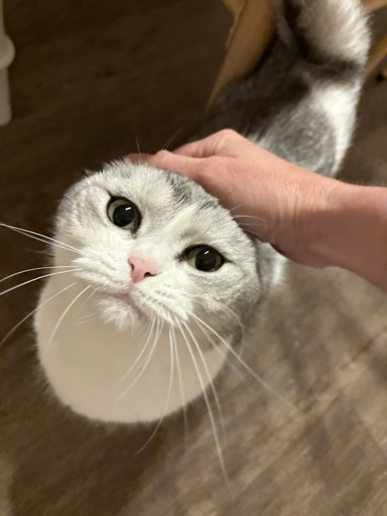  21