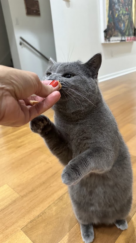  37