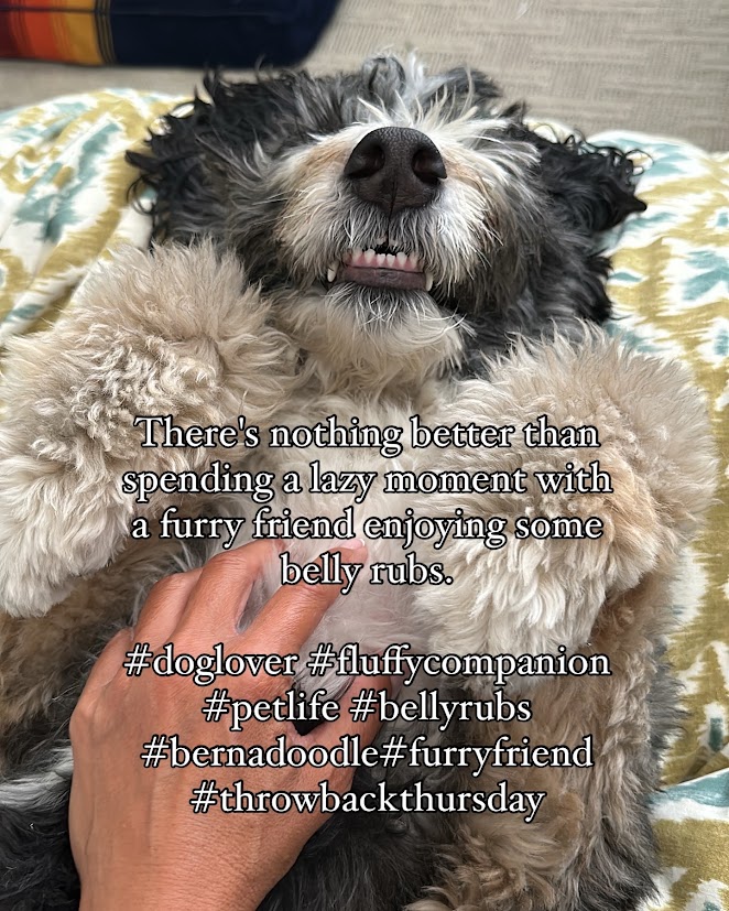  34