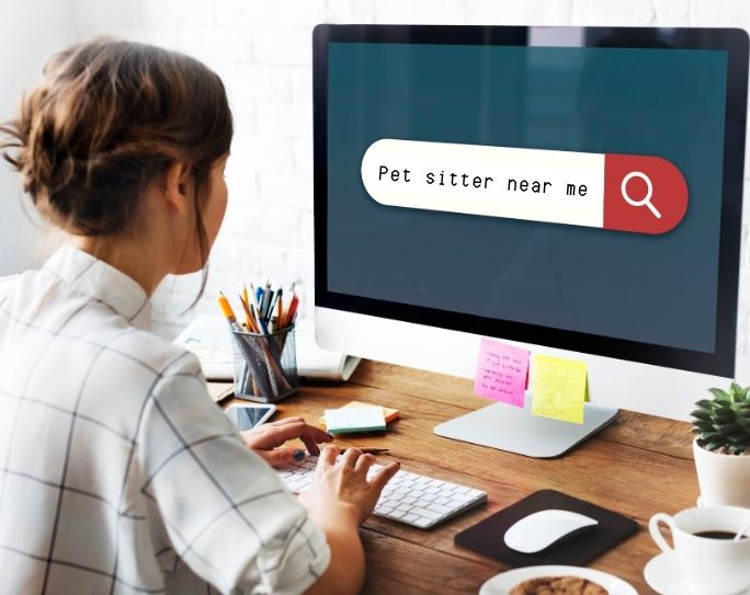 Website and Local SEO for pet sitters <img src="decorative-image.jpg" alt="">
