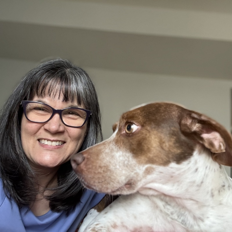 Run, Play, WOOF! Pet Care