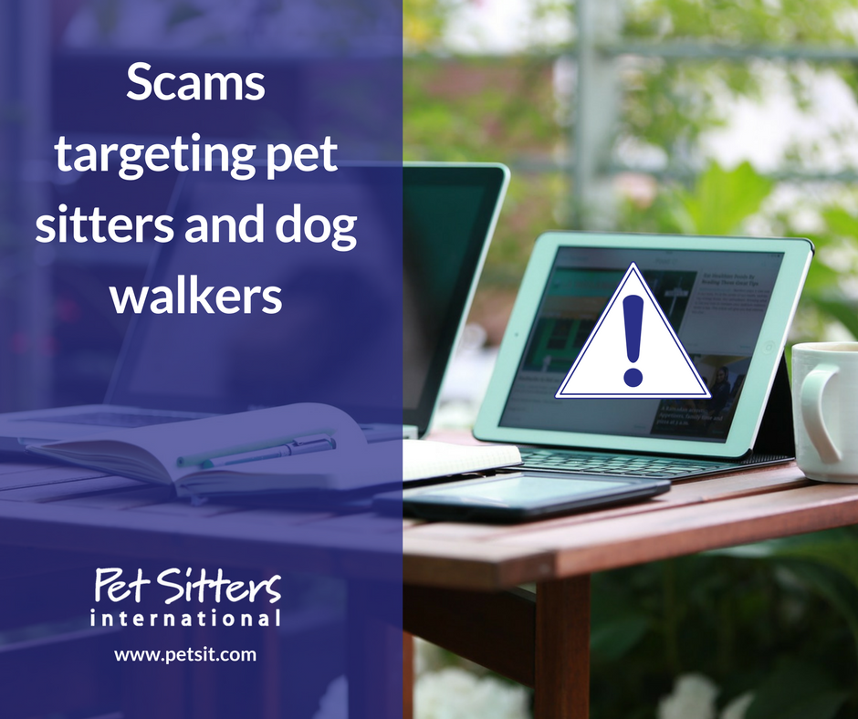 Pet sitters beware: Scams targeting pet sitters