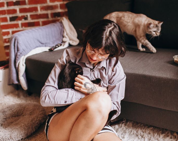 pet sitter compassion fatigue Woman pet sitter sitting on floor in front of couch holding cat, while her other cat walks across the couch behind her.