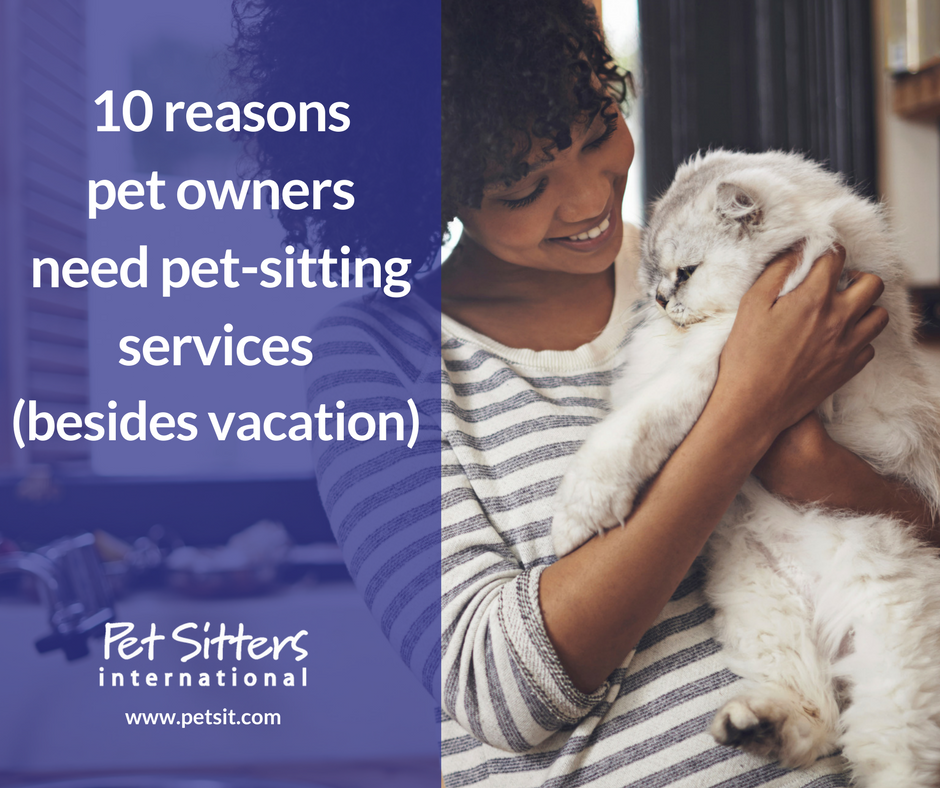 10 reasons (besides vacation) pet owners need pet-sitting services